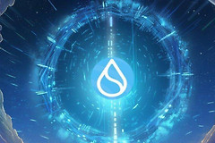 SUI为什么突然暴涨？一文看懂Sui生态最新变化
