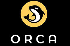 Orca是什么？ORCA代币值不值得关注