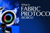 Fabric Protocol（ROBO）币是什么？机器人经济网络的基础设施