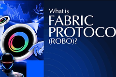 Fabric Protocol（ROBO）币是什么？机器人经济网络的基础设施