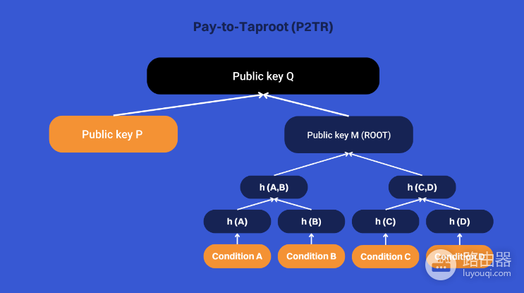 比特币交易签名如何验证？从Script到Taproot的验证原理