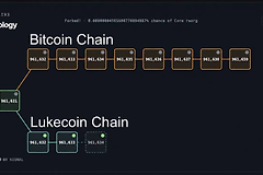 BIP-110是什么?想限制铭文数据的软分叉为何失败