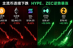 比特币、以太坊、SOL主流币连续下跌，HYPE、Zcash为什么逆势暴涨？