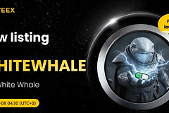 White Whale是什么币? 为何会在短期内暴涨500倍?