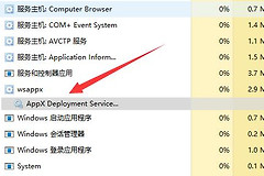 Win11系统wsappx磁盘占用率高的解决教程