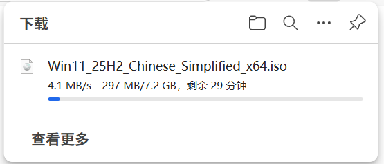 Windows 11下载镜像版本困惑:如何获取“专业多语言版”?