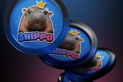 HIPPO币是什么？Meme代币与动物保育的结合