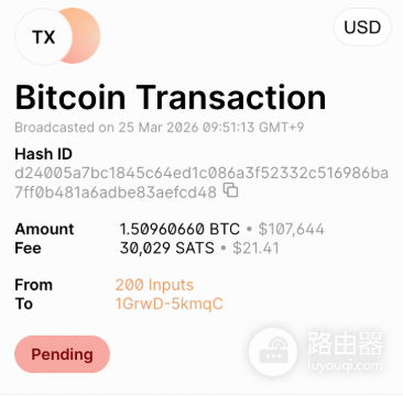 隐私币是什么?公链交易全透明,怎么保护自己的隐私