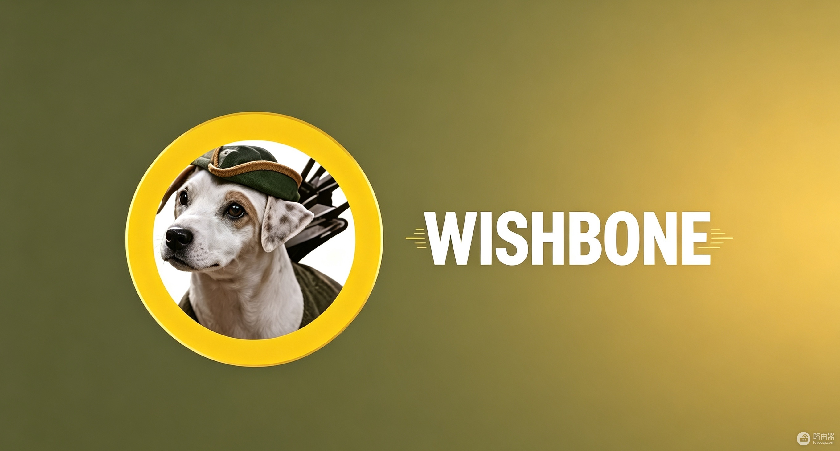 WISHBONE币是什么?Robinhood Chain上最火的狗狗币值得买吗