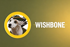 WISHBONE币是什么?Robinhood Chain上最火的狗狗币值得买吗
