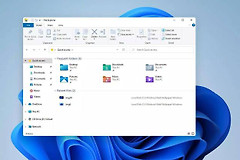 Win11电脑磁盘分区格式怎么查看