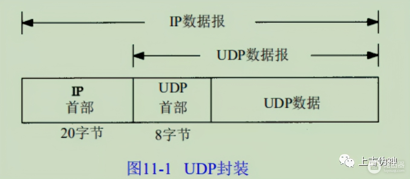 UDP是什么东西(UDP指什么)
