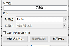 word插入题注位置灰色无法修改怎么办？解决position锁定方法