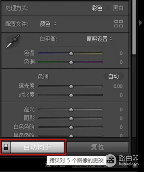 lightroom如何批量处理
