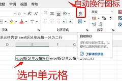 Excel自动换行没反应怎么办