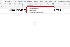 WPS Office和Microsoft Office有什么区别