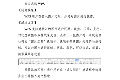 WPSWord文档图片怎么自由移动?