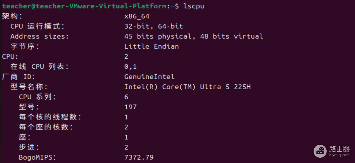 Linux如何查看CPU型号?用lscpu读取Model name字段