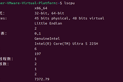 Linux如何查看CPU型号？用lscpu读取Model name字段