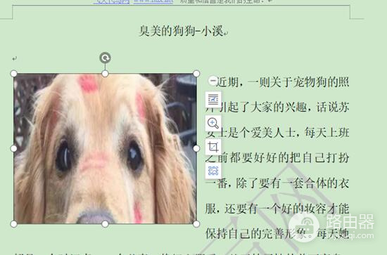 WPS图片和文字一起移动怎么办?用环绕和组合解决