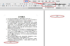 WPS文档空白页删不掉怎么办才不影响排版