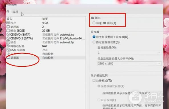 USB设备怎么在虚拟机上识别?设置直通与排查方法