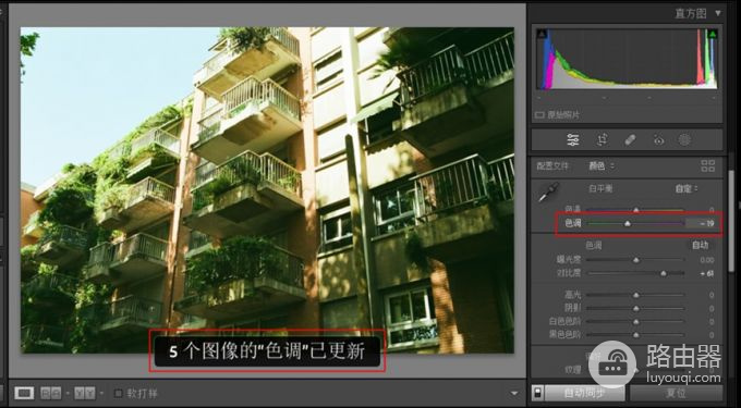lightroom如何批量处理