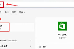 Microsoft Store应用出现问题怎么修复?Microsoft Store修复和重置怎么选