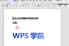 WPS Office文字怎么旋转:文字方向与文本框旋转方法