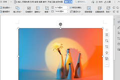 WPS图片怎么去除图片背景色?纯色透明与抠图操作方法