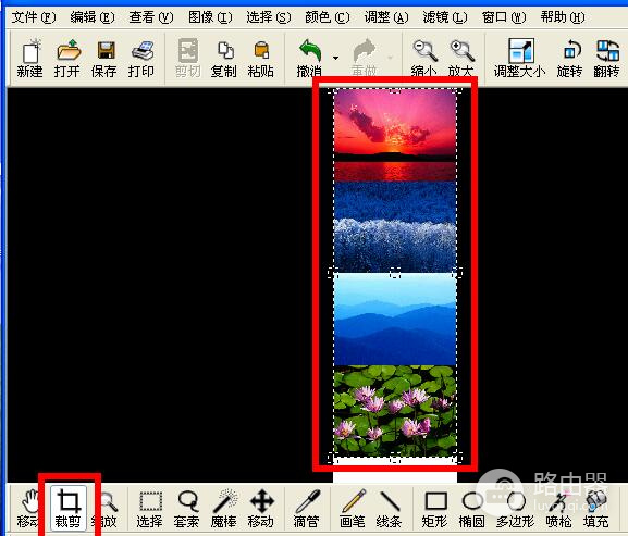 ACDSee拼图操作:新建画布、导入照片并导出长图
