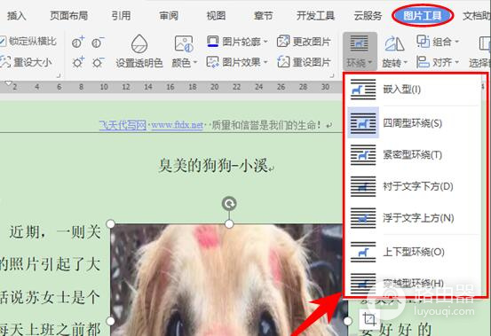 WPS图片和文字一起移动怎么办?用环绕和组合解决