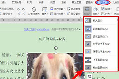 WPS图片和文字一起移动怎么办?用环绕和组合解决
