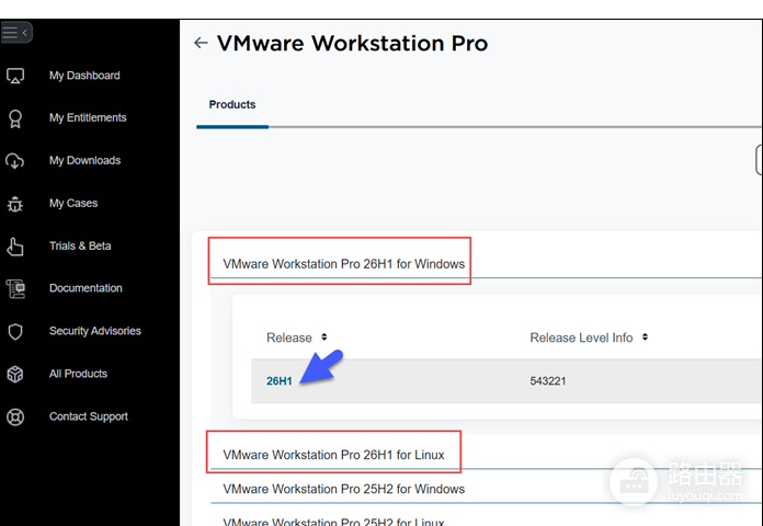 VMware Workstation和VMware有什么区别