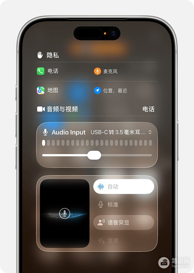 苹果手机没有麦克风权限怎么办