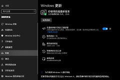 Win10系统版本怎么更新?Win10的Windows更新怎么检查和安装